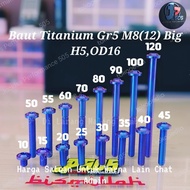 Titanium Bolt M8Mm (12) Big Od16 Length10-50Mm