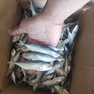 Ikan Asin Murah/ Ikan Asin peda putih 1 kg / ikan asin ukuran jumbo peda putih