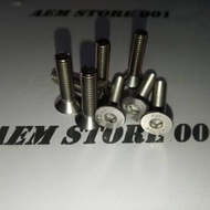 Verseng L M6 X 25 (25cm) stainless 304