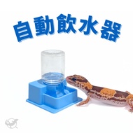 [Reptile Special Attack Team] 24 Hours Gecko Automatic Drinking Fountain|Reptile Basin|Reptile Food 