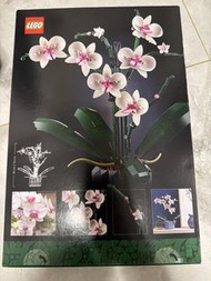 LEGO 10311 蘭花 植物系列 全新未拆