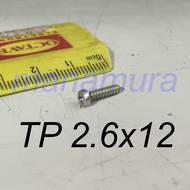 TP 2.6 x 12 self tapping screw (price in 3pcs) TP2.6x12