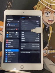 Apple iPad mini 4  128GB