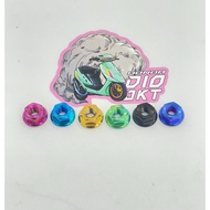 Titanium Pro Nut M6 model B