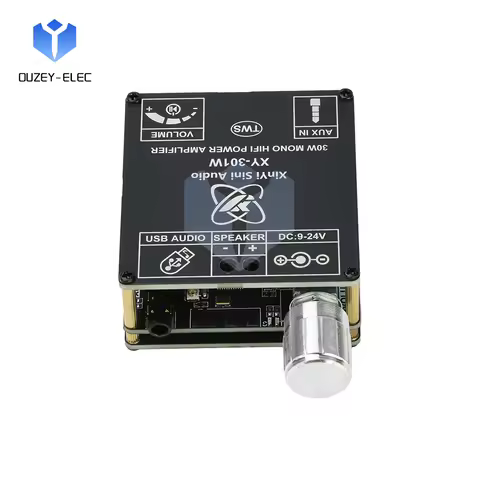 DC 9-24V XY-301W BT Amplifier Mono 30W Hi-Fi Sound Quality Audio Player Supports TWS Interconnection