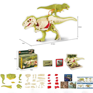 3D DIY Assembled Anatomy Dinosau Toys Childrens Assembly Animal Collectible Dinosaur Toy Anatomy Pla
