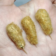 Replika kepompong wesi kuning terbuat dari kuningan