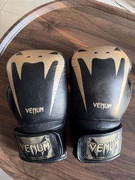Venum 10oz 真皮拳套 boxing gloves