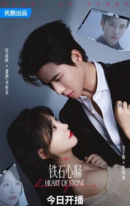 HEART OF STONE ... DVD FILM SERIAL DRAMA MANDARIN (2025) 2 DISC