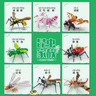 6-8pcs/set  Insect Family Model Building Blocks Toy Gift 80056-80069
