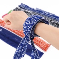 [Pet Cooling Ice Bib] Dog Bib Summer Pet Outing Supplies Towel Outdoor Sports Silk Scarf Wrist