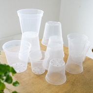 Lantai_FJ Transparent Clear Pot for pokok Aroid Exotic Philodendron Pasu pokok