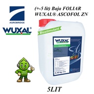 (+-5L/6.45KG) Wuxal Ascofol Zn (3.9%Zn, 0.7% Mn. 0.6% Fe,3.0%N, 7.20% K2O 2.7%S)