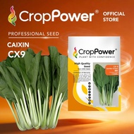 TOP RATED 🌟 (50 GRAM) Biji Benih Sawi Putih Jumbo Green 绿珍 CX9 CROP POWER F1 Hybrid Caixin seeds 菜心种