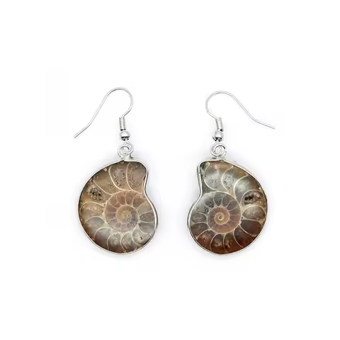 Women Natural Snail Ammonite Earrings Spiral Whorl Conch Shell Nature Color Animal Pendant Dangle Ho