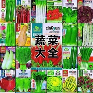 【！Shipment over 5 Packs] Purple Kale Seeds Seeds Purple Cabbage Seeds Cabbage Vegetables Vegetables 
