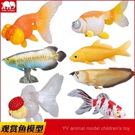Simulation Ornamental Fish Model Golden Arowana Silver Arowana Goldfish Toy Carp Koi Children Scienc