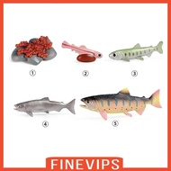 [Finevips] Life Cycle of Salmon Toys Life Growth Cycle Figure Biology Model Educational Preschool Teaching Role Play Birthday Gifts