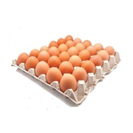 Telur Ayam Gred B (Grade B Chicken Egg) - 1 papan (30 biji)