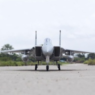 Freewing Freewing Flying Wing Model F-15 90mm Handao Simulation Model Airplane