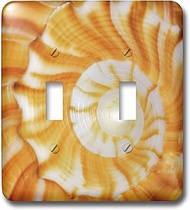 3dRose lsp_89003_2 Natural spiral pattern in seashell, Florida US10 AJE0186 Adam Jones Double Toggle
