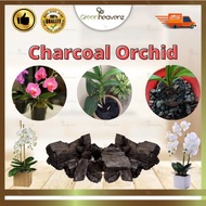 GHZ Arang Batu Charcoal Arang Orkid Hidup Charcoal BBQ Pokok Arang Kayu Bakau Activated Carbon Charcoal Bunga 350G 火炭
