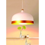2205 aluminum drop light
