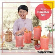 trio canister set tupperware / fuchia canister tupperware /polkalala