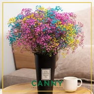 Dry Preserved Beautiful Gypsophila Baby Breath Big Bouquet / Bunga Baby Breath untuk Gubahan Bouquet