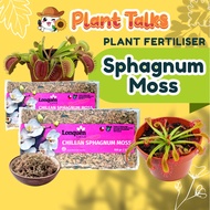 Plant Talks Chilean Sphagnum Moss / Peat Moss for Succulent / Rooting Moss / Garden Soil / Flower / 