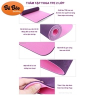 YOGA MAT TPE 6LY