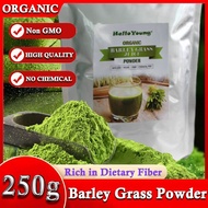 Raw Wheatgrass Wheat Grass Powder - Triticum aestivum - No Additives Superfood Powder