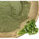 Cilantro powder 50g 香菜粉 spices herbs cooking ingredients coriander 香葱