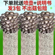 Guaranteed Mushroom Growing Kit for Home Use, Edible Mushroom Straws, Mushroom Growing Kit for Grow