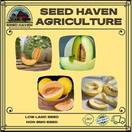 Melon seeds (5 seeds) - Cantaloupe / Honeydew / Canary