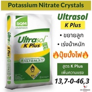 🔥ยกกระสอบ25Kg🔥ปุ๋ยเกล็ด 13-0-46 สูตร K Plus+(137-0-463) เพิ่มความแรง💥ปุ๋ยบั้งไฟ💥โพแทสเซียมไนเตรท (ขย