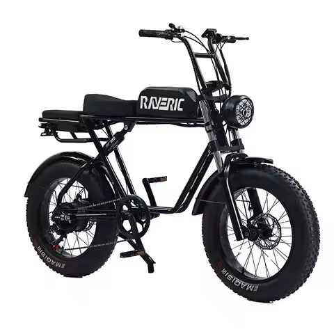 Electric Bike Fat Tire E-bike Ebike Electric Bicycle Mountain Bike Full Suspension Motorcycle Electr