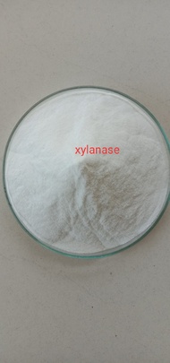 MEN VI SINH Enzyme Xylanase 1.000 Ui/G - 5kg