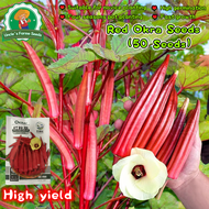 เมล็ดพันธุ์ กระเจี๊ยบมอญ สีแดง 50 เมล็ด Red Burgundy Okra Seeds Lady Finger Okra Vegetables Seeds Ok