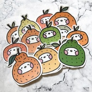 台灣 水果 橘子 插畫 貼紙