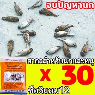 บอกลาขี้นกที่กวนใจ ยาเบื่อนก นำเข้าจากอเมริกา RATICIDE 1500g ซื้อ5 ได้25 เหยื่อกำจัดนก วัน กันฝน กันแดด เหยื่อกำจัดนกพิราบ กำจำนกทั่วไป นกพิราบ นกกระจอก นกกระจิบ นกขนาดเล็ก ที่มาทำลานข้าวของ ยากำจัดนกพิราบ กำจัดนก เบื่อนก ไล่นกพิราบถาวร เครื่องไล่นก ไล่นก