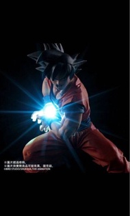 龍珠HG限定 孫悟空龜波