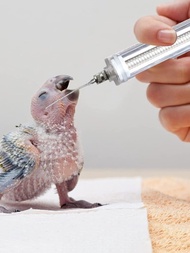1入組套注射器設計鸚鵡餵食器餵食