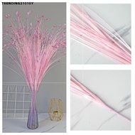 TRENDING21018Y 5pcs/Pack Peacock Grass, Feather Texture 80cm Artificial Grass, Realistic Multicolor 
