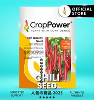 Hot Item🔥 (10 GRAM) Biji Benih Cili Minyak Hot Volcano 火山喷 CL22 CROP POWER F1 HYBRID Chili seeds 辣椒种