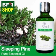 Pure Essential Oil (EO) - Pine - Sleeping Pine Essential Oil - 50ml