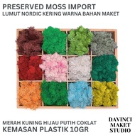 Preserved Moss Dried Reindeer Nordic - Foliage Leaf Bush Miniature Diorama Model Material 10gr