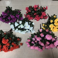 Azalea****