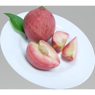 不軟弱的水蜜桃-紅玉甜桃 8粒 【預購中，5/12~5/26依訂單順序出貨】