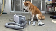 柴犬大學 負離子五段調溫吹水機 寵物吹水機 寵物美容